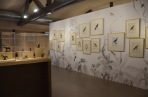 2018 04 07 POURNY Michel Refuge Arche (564)