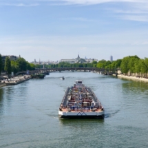 La Seine sans bateaux mouches vue du Pont Royal